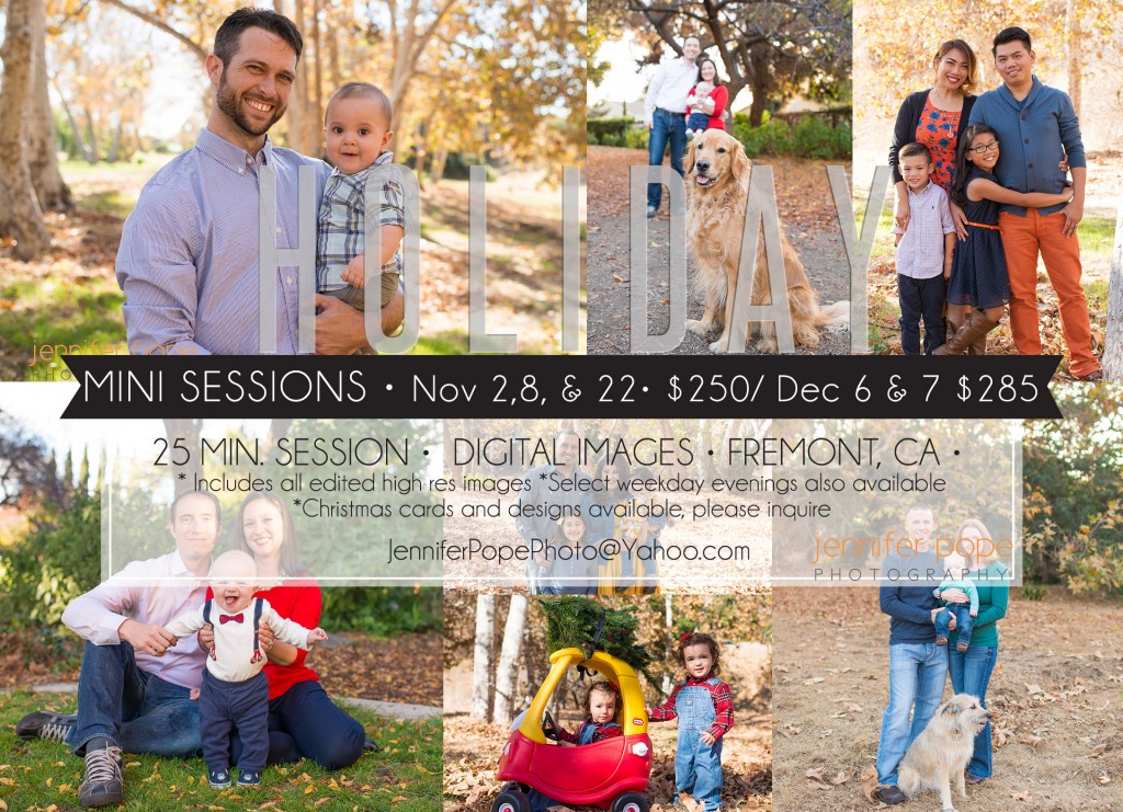 Holiday Mini Sessions 2014